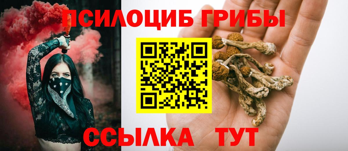 Псилоцибиновые грибы Cubensis  Галлюциногенные грибы мухоморы  Грозный  Вход с VPN 