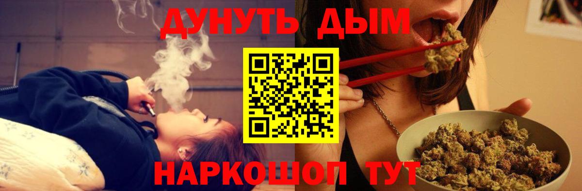 Конопля SATIVA & INDICA Грозный
